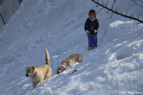 LIMONE PIEMONTE